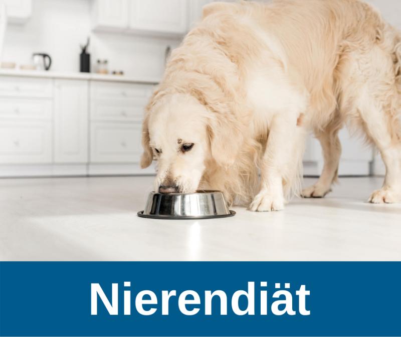 Nierendiät für Hunde